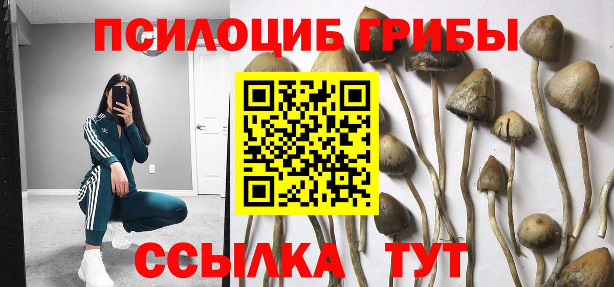 Псилоцибиновые грибы ЛСД  Галлюциногенные грибы мухоморы  Вход с VPN  Заволжье 