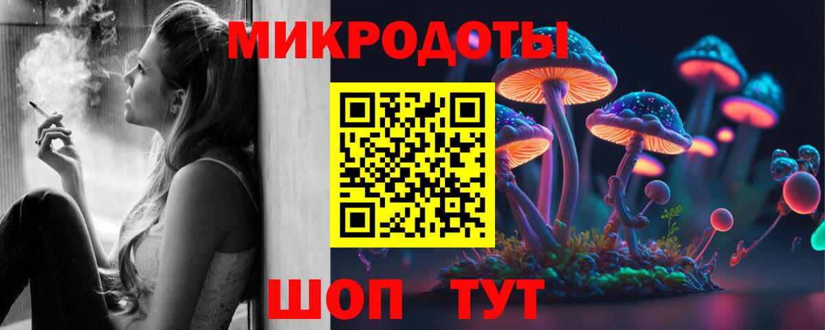 Псилоцибиновые грибы Psilocybe Заволжье
